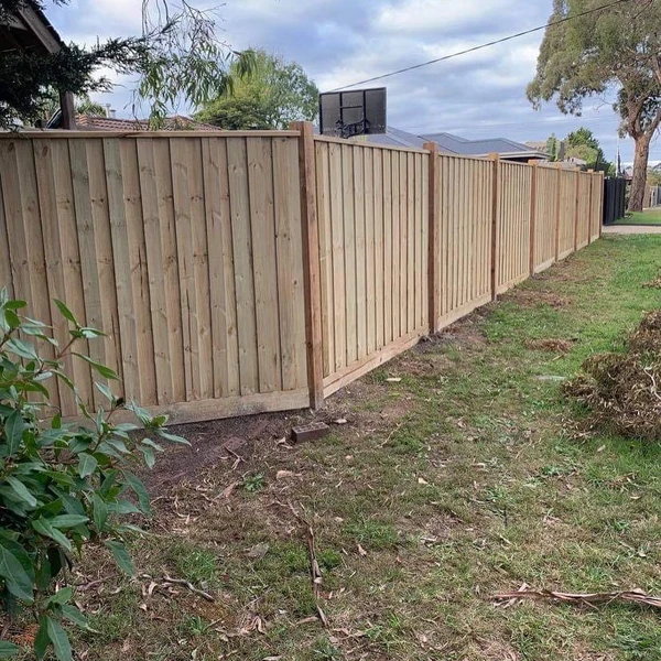 Timber paling fence